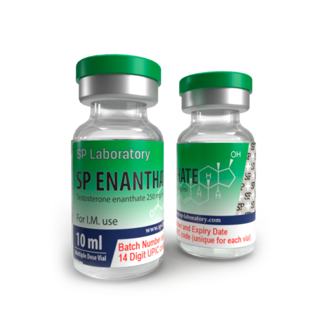 SP ENANTHATE Testosterone Enanthate 250mg/ml 10ml